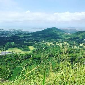 Meet your Posher, Bomi